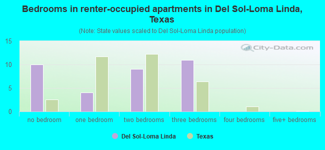 Bedrooms in renter-occupied apartments in Del Sol-Loma Linda, Texas