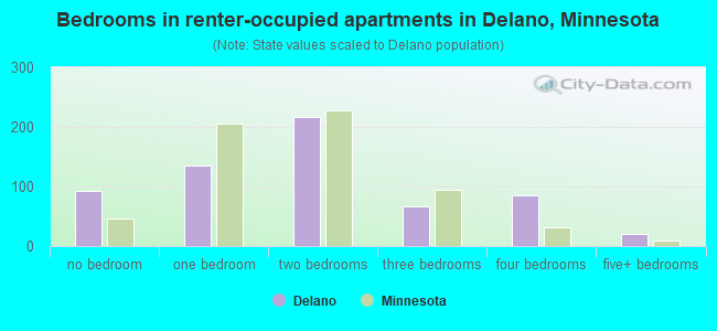 Bedrooms in renter-occupied apartments in Delano, Minnesota