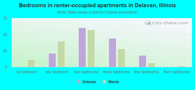 Bedrooms in renter-occupied apartments in Delavan, Illinois