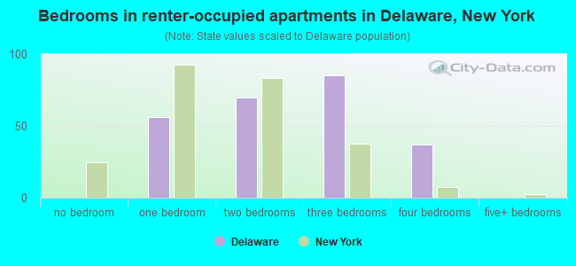 Bedrooms in renter-occupied apartments in Delaware, New York