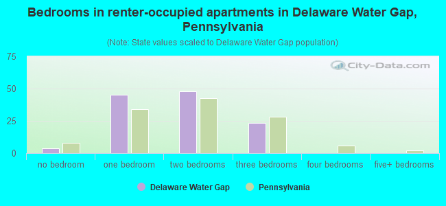 Bedrooms in renter-occupied apartments in Delaware Water Gap, Pennsylvania