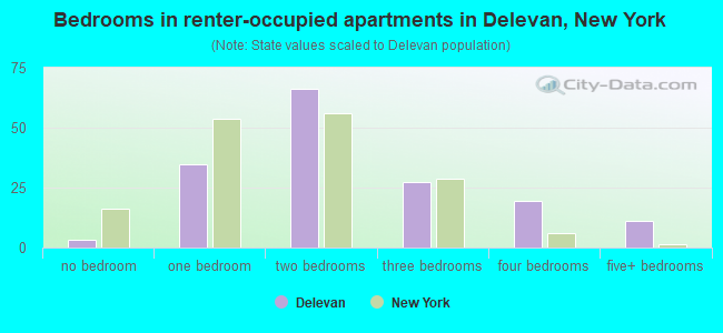 Bedrooms in renter-occupied apartments in Delevan, New York