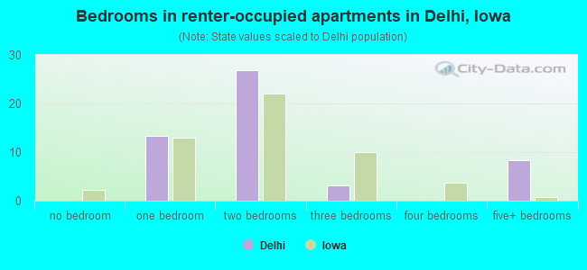 Bedrooms in renter-occupied apartments in Delhi, Iowa