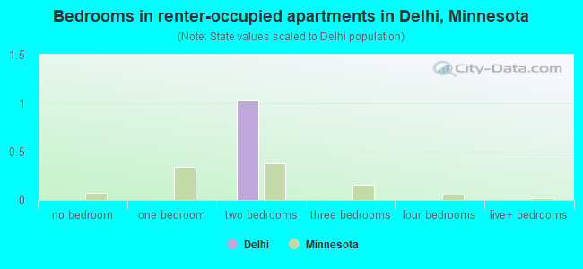 Bedrooms in renter-occupied apartments in Delhi, Minnesota