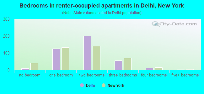 Bedrooms in renter-occupied apartments in Delhi, New York