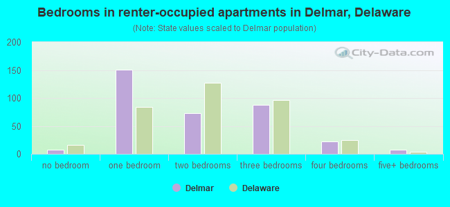 Bedrooms in renter-occupied apartments in Delmar, Delaware