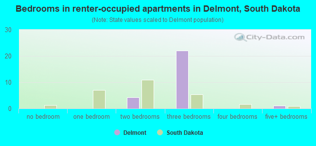 Bedrooms in renter-occupied apartments in Delmont, South Dakota