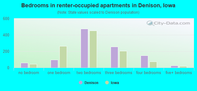 Bedrooms in renter-occupied apartments in Denison, Iowa