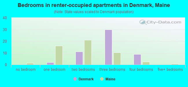 Bedrooms in renter-occupied apartments in Denmark, Maine