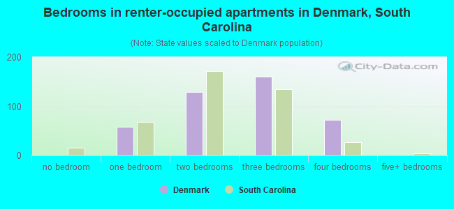 Bedrooms in renter-occupied apartments in Denmark, South Carolina