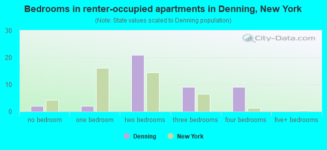 Bedrooms in renter-occupied apartments in Denning, New York