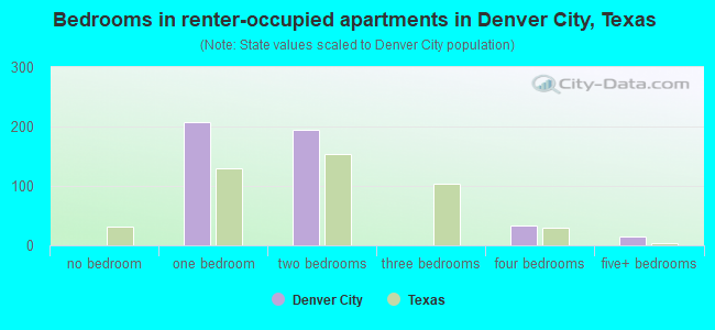 Bedrooms in renter-occupied apartments in Denver City, Texas