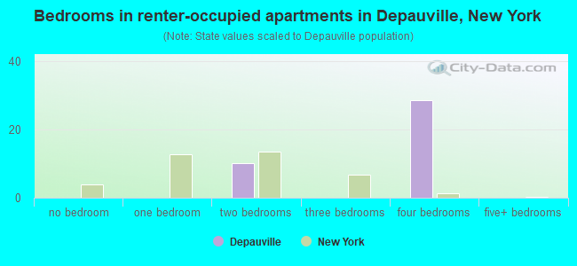 Bedrooms in renter-occupied apartments in Depauville, New York