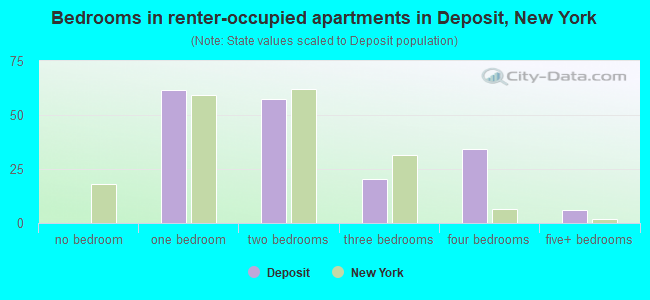 Bedrooms in renter-occupied apartments in Deposit, New York