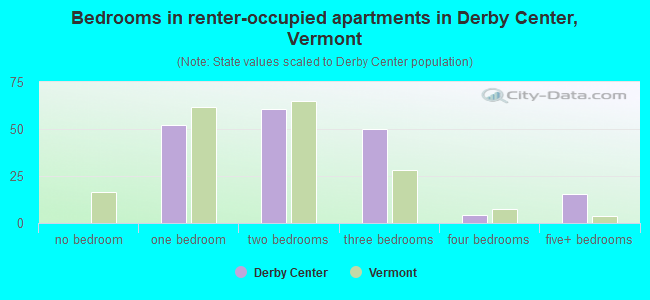 Bedrooms in renter-occupied apartments in Derby Center, Vermont