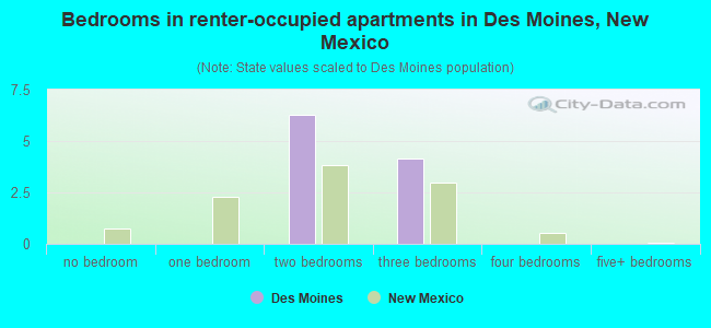 Bedrooms in renter-occupied apartments in Des Moines, New Mexico