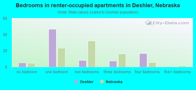 Bedrooms in renter-occupied apartments in Deshler, Nebraska