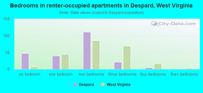 Bedrooms in renter-occupied apartments in Despard, West Virginia