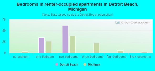 Bedrooms in renter-occupied apartments in Detroit Beach, Michigan