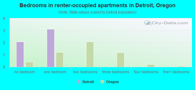 Bedrooms in renter-occupied apartments in Detroit, Oregon