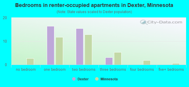 Bedrooms in renter-occupied apartments in Dexter, Minnesota