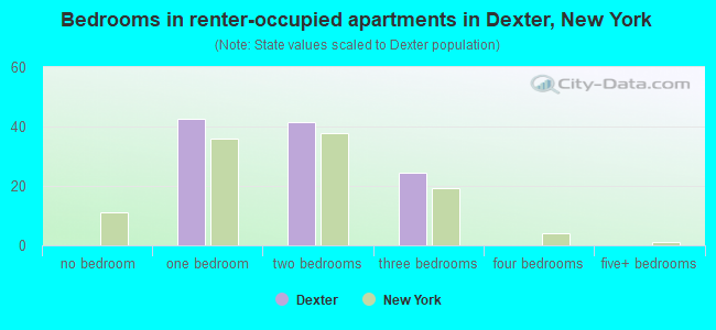 Bedrooms in renter-occupied apartments in Dexter, New York
