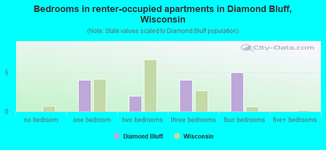 Bedrooms in renter-occupied apartments in Diamond Bluff, Wisconsin