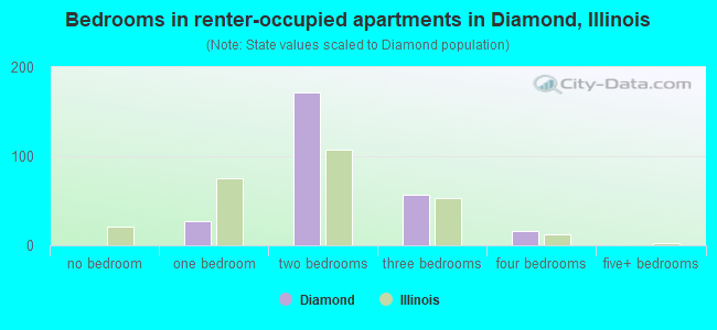 Bedrooms in renter-occupied apartments in Diamond, Illinois