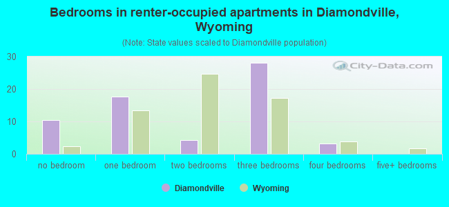 Bedrooms in renter-occupied apartments in Diamondville, Wyoming