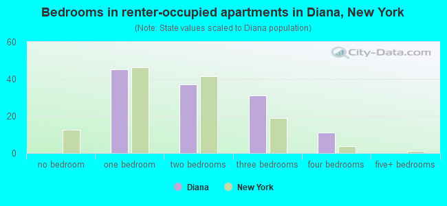 Bedrooms in renter-occupied apartments in Diana, New York