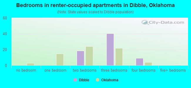 Bedrooms in renter-occupied apartments in Dibble, Oklahoma