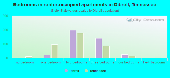 Bedrooms in renter-occupied apartments in Dibrell, Tennessee
