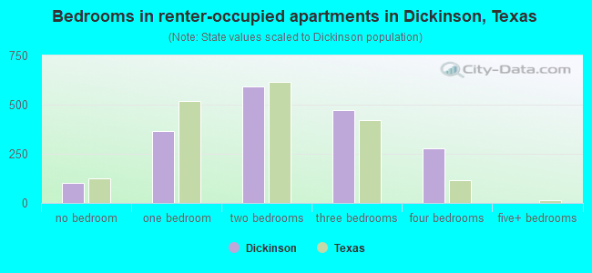 Bedrooms in renter-occupied apartments in Dickinson, Texas