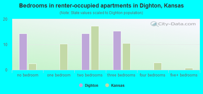 Bedrooms in renter-occupied apartments in Dighton, Kansas