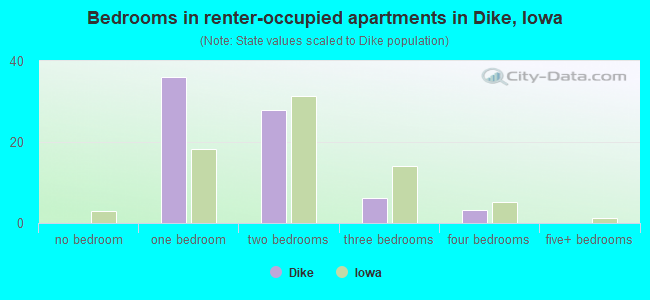 Bedrooms in renter-occupied apartments in Dike, Iowa