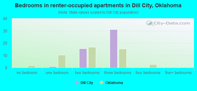 Bedrooms in renter-occupied apartments in Dill City, Oklahoma