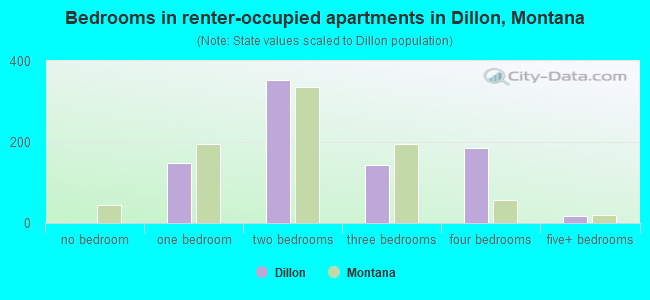 Bedrooms in renter-occupied apartments in Dillon, Montana