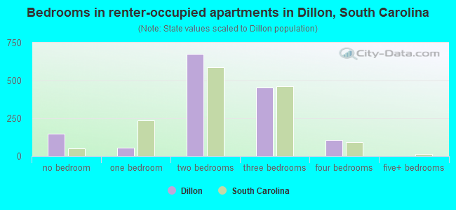 Bedrooms in renter-occupied apartments in Dillon, South Carolina