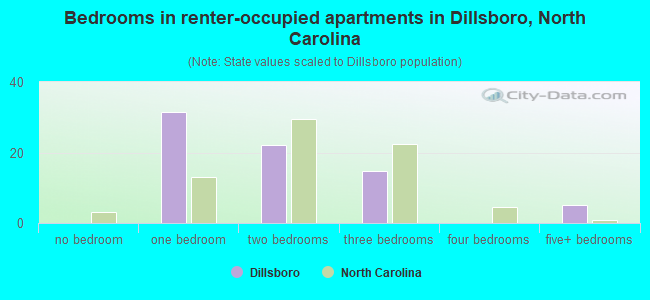 Bedrooms in renter-occupied apartments in Dillsboro, North Carolina