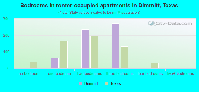 Bedrooms in renter-occupied apartments in Dimmitt, Texas