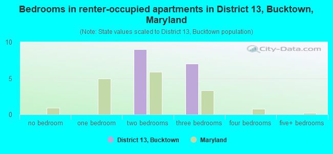 Bedrooms in renter-occupied apartments in District 13, Bucktown, Maryland