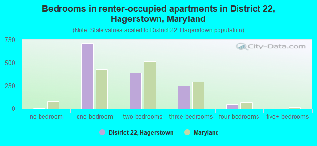 Bedrooms in renter-occupied apartments in District 22, Hagerstown, Maryland