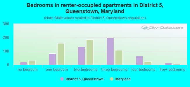 Bedrooms in renter-occupied apartments in District 5, Queenstown, Maryland