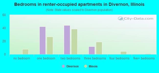 Bedrooms in renter-occupied apartments in Divernon, Illinois