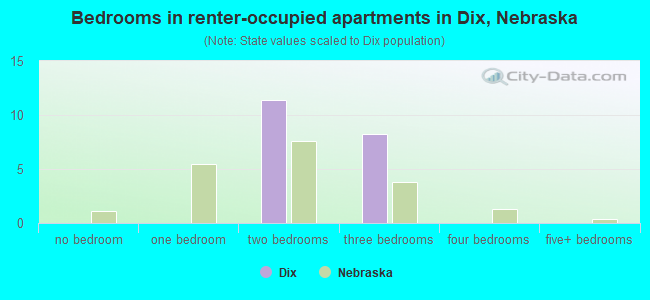 Bedrooms in renter-occupied apartments in Dix, Nebraska