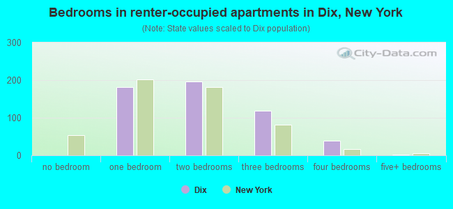 Bedrooms in renter-occupied apartments in Dix, New York
