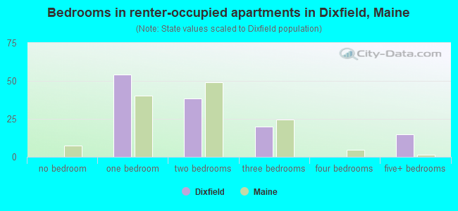 Bedrooms in renter-occupied apartments in Dixfield, Maine