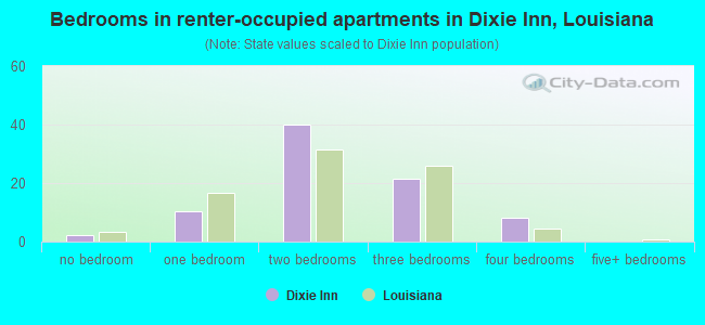 Bedrooms in renter-occupied apartments in Dixie Inn, Louisiana