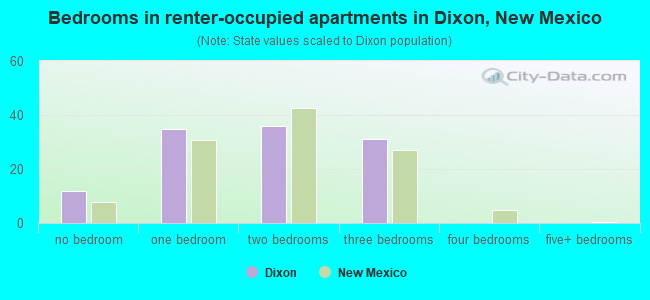 Bedrooms in renter-occupied apartments in Dixon, New Mexico