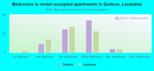 Bedrooms in renter-occupied apartments in Dodson, Louisiana